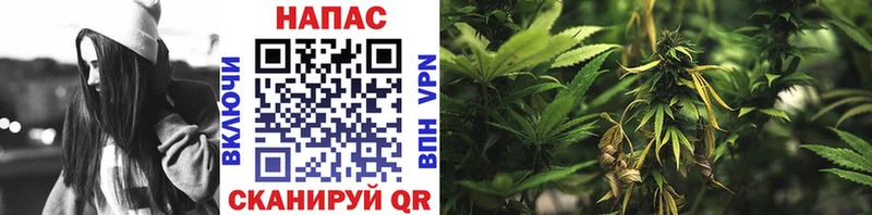 мега как зайти как найти наркотики Жуковка Конопля THC 21%